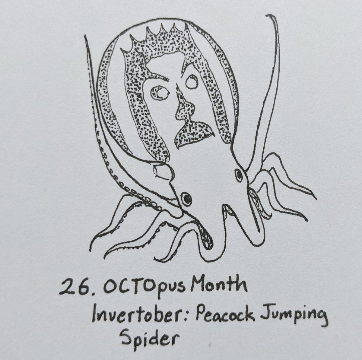 DannaStaaf's tweet photo. anyone else experience massive pareidolia whenever they look at a peacock jumping spider??? #Invertober2022 #OCTOpusMonth https://t.co/8dnILx5awL