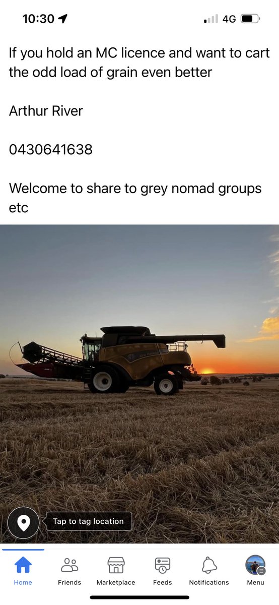 Here we go again. Please share. Nothing like trying to look again this close to harvest