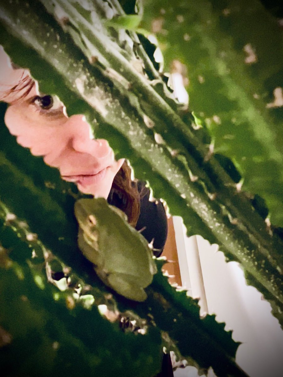 I spy with my little eye…. something #green