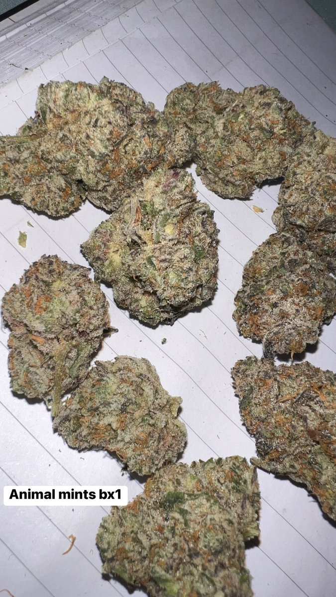 SMcpot508's tweet photo. Animal mints bx1 #goodweed #bettervibes #rapperweed #piffpack #animalmintsbx1 #Mmemberville https://t.co/A6o0K91eP7