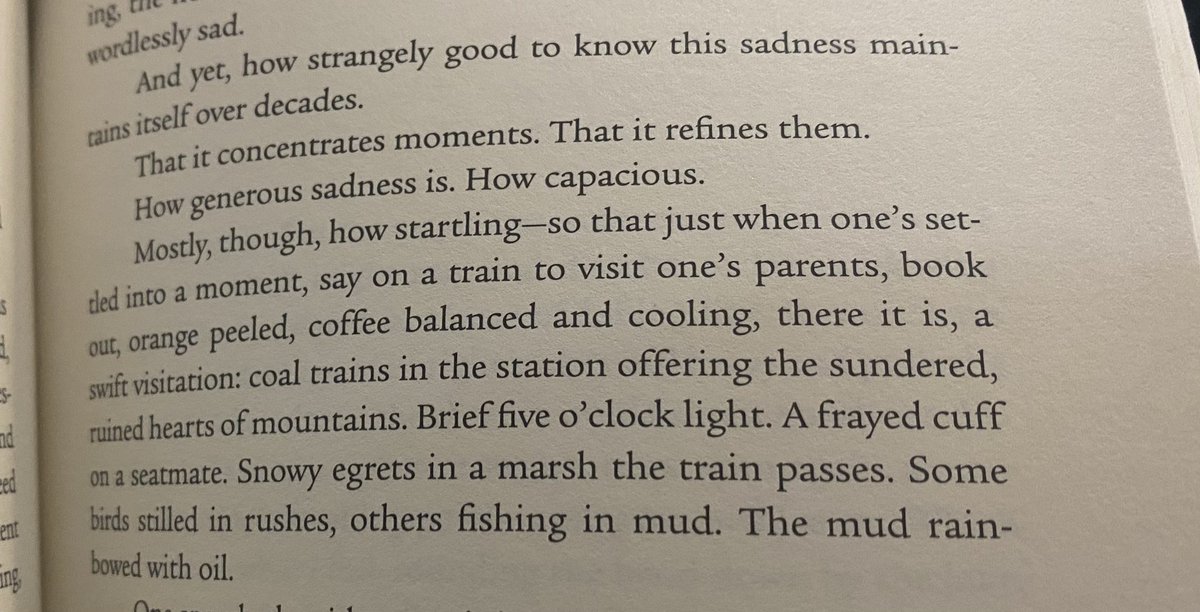 From rough likeness by Lia Purpura, a brief meditation on sadness