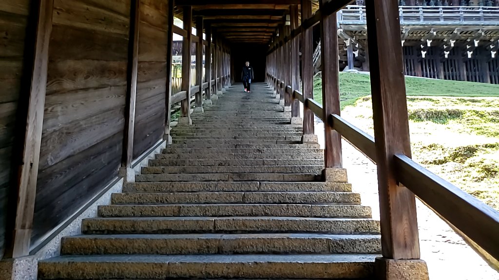 kara_querl's tweet photo. 9. Nara Japan 05/29/2021
Our guide was Hiro
Hiro was one of our favorite guides, he was a local and very knowledgeable. This one was very interactive and fun for the kids. with the pandemic we were the only ones in sight feeding the deer.
#AmazonExplore #AmazonExperiences https://t.co/NtiUo2exwz