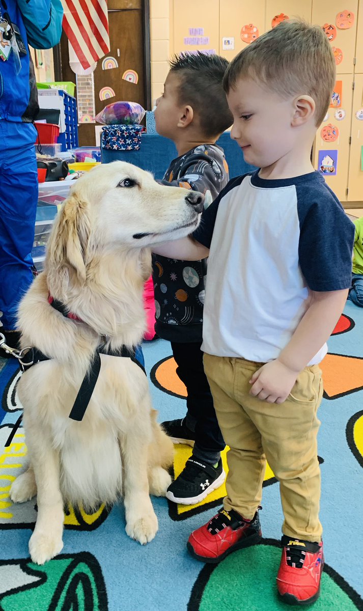 DesandreTaylor's tweet photo. Jeremiah!!!! Our comfort dog came to visit the morning preschool classes, a kindergarten classroom, and two 1st grade classrooms! #owbears #owstrong #sd113a @MissShelleyOW @Mr_Matosian @JustineHickey2 @ms_taylor_113a https://t.co/BAQCbxoIPH