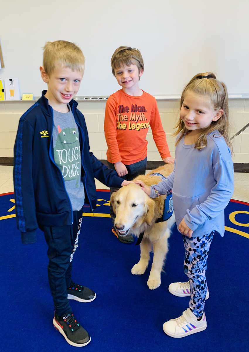 DesandreTaylor's tweet photo. Jeremiah!!!! Our comfort dog came to visit the morning preschool classes, a kindergarten classroom, and two 1st grade classrooms! #owbears #owstrong #sd113a @MissShelleyOW @Mr_Matosian @JustineHickey2 @ms_taylor_113a https://t.co/BAQCbxoIPH