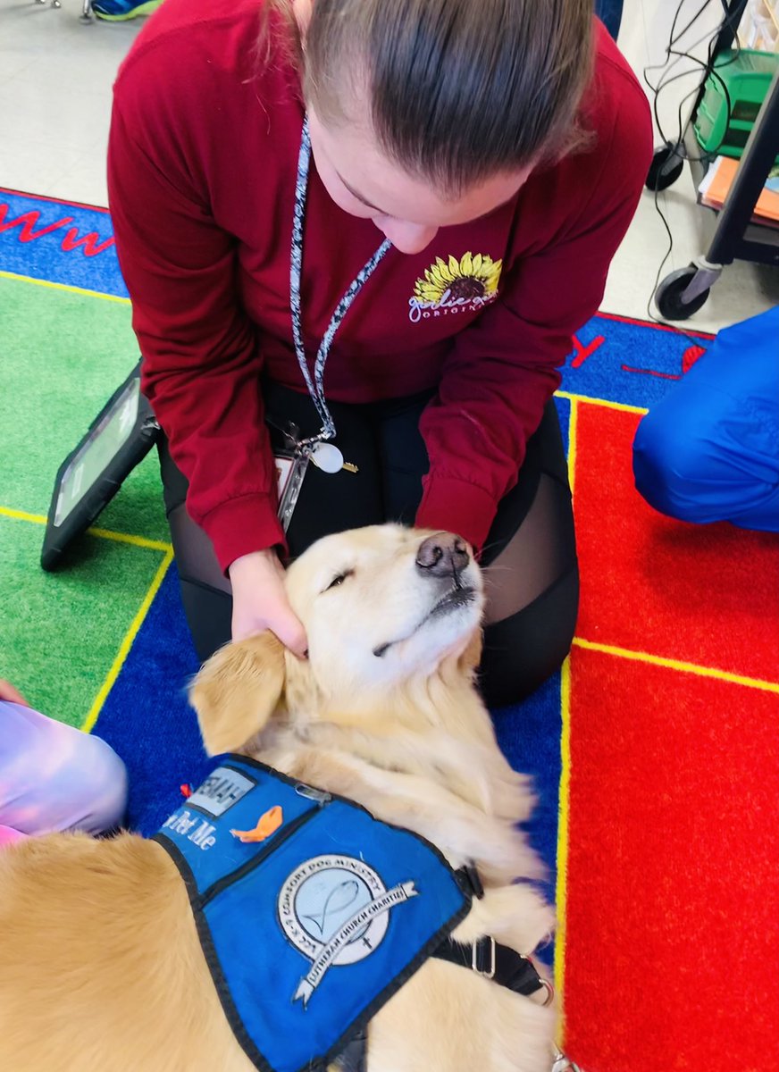 DesandreTaylor's tweet photo. Jeremiah!!!! Our comfort dog came to visit the morning preschool classes, a kindergarten classroom, and two 1st grade classrooms! #owbears #owstrong #sd113a @MissShelleyOW @Mr_Matosian @JustineHickey2 @ms_taylor_113a https://t.co/BAQCbxoIPH