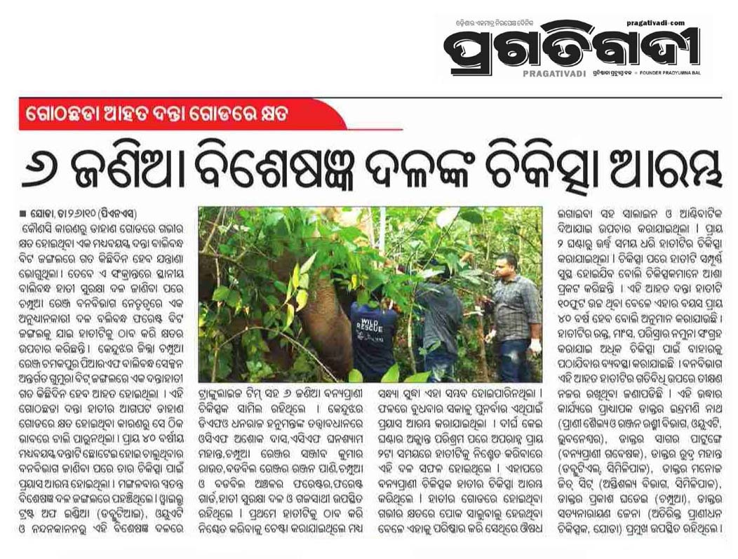 BarikManindra's tweet photo. ଗୋଠ ଛଡ଼ା ଦନ୍ତା ହାତୀର ଚିକିତ୍ସା ଆରମ୍ଭ ।
ବିଶେଷଜ୍ଞ ଡ଼ାକ୍ତରୀ ଟିମ୍ ପହଞ୍ଚି ଆଗ ଡାହାଣ ଗୋଡରେ ହୋଇଥିବା କ୍ଷତକୁ ଉପଚାର କରିଛନ୍ତି ପ୍ରାଣୀ ଚିକିତ୍ସକ। https://t.co/ltU6iIbhaR
