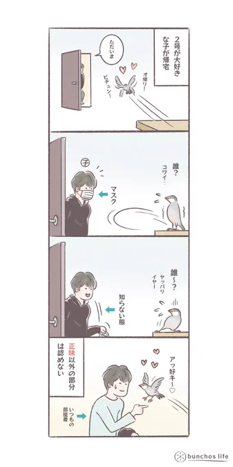 いつもと違う服や付属品があるだけで不審者扱いされる
#文鳥 
#bunchoslife 
#4コマ漫画 