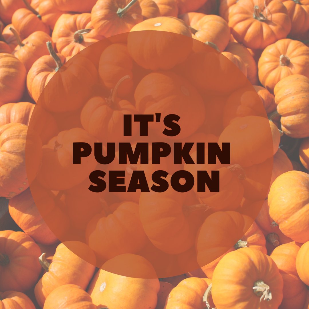 InventDesignB's tweet image. Halloween is just round the corner!👻

The team at Invent Design Build are taking part in a pumpkin carving competition🎃

Comment below which pumpkin is the best! The winner will be announced on the 31st 

#halloween2022 #pumpkins #competition #pumpkinspice #InventDesignBuild