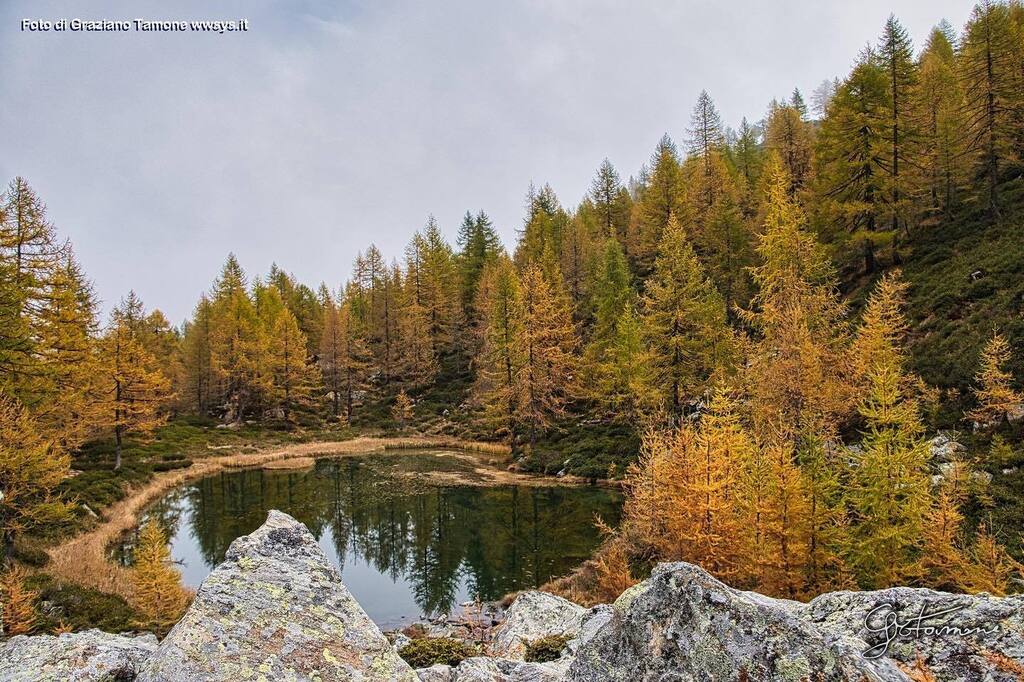 📍Lago di Alpe Larecchio, Riva Valdobbia
📸 <a href="/graziano/">Graziano</a>.tamone 
🔍 selezionato da <a href="/blurissimo/">Roberto Maggio</a> 
#⃣ usa #igersvercelli #instagramersvercelli e tagga <a href="/igers_vercelli/">Instagramers Vercelli</a> nelle tue più belle foto piemontesi per essere repostato👍🏼
.
.
.
.
#whatitalyis #browsingitaly #igersvercelli #igersp…