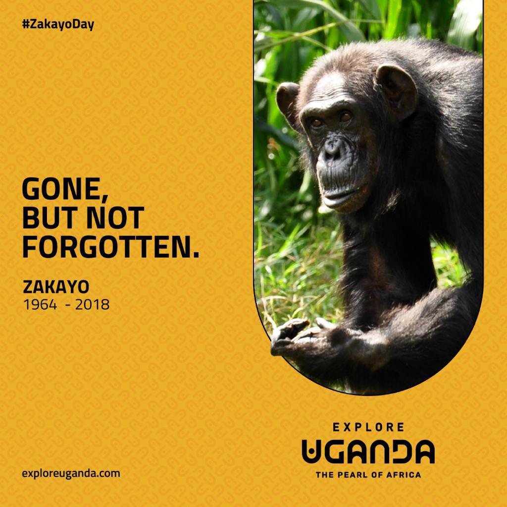 Welcome to the pearl of Africa as we celebrate the life of Zakayo. #ZakayoDay #Ugandayange #ugandastourism #tulambuleuganda #exploreuganda @ExploreUganda @UWEC_EntebbeZoo