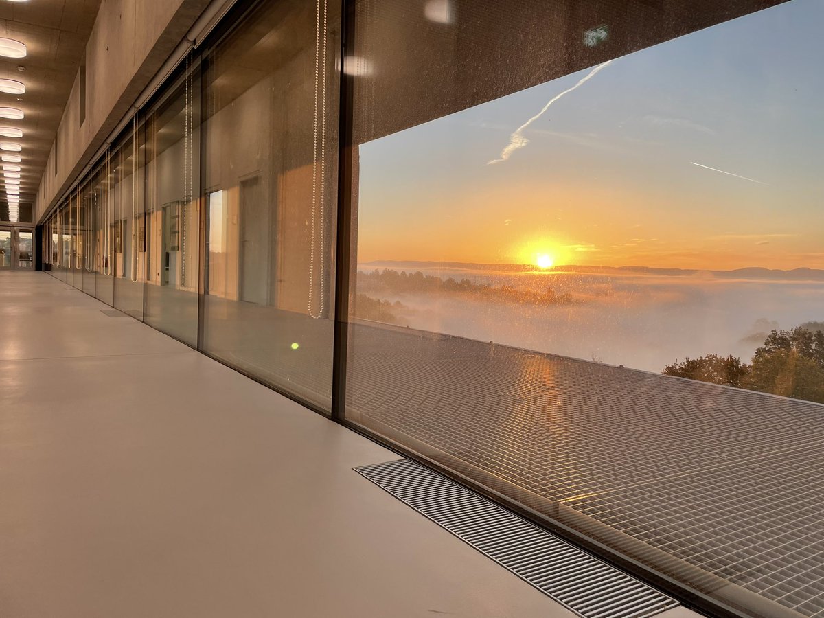 Tuebingen Geomicrobiology tweet media