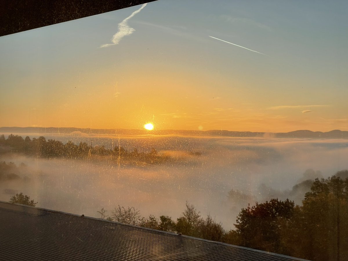 Tuebingen Geomicrobiology tweet media