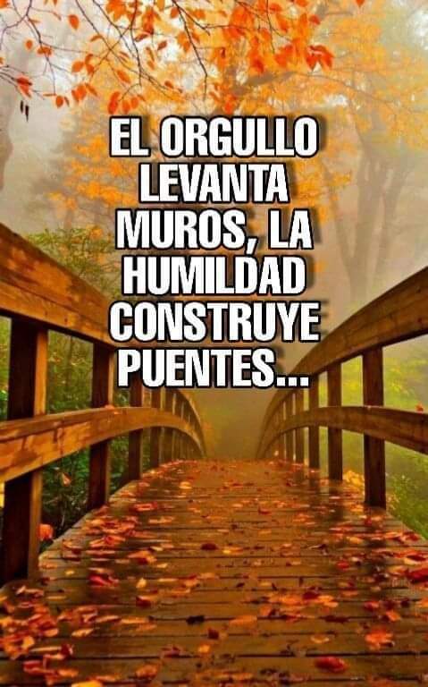VidaEquilibrada (@vidaequilibrad4) on Twitter photo 