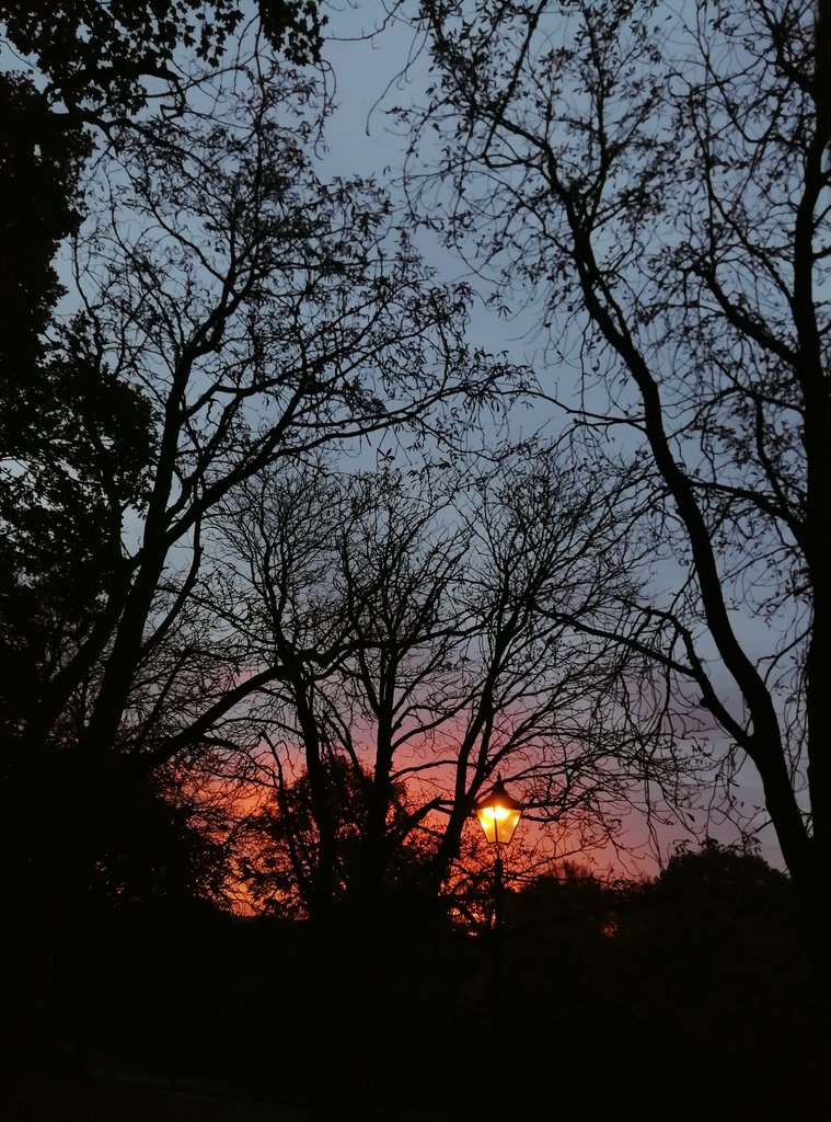 Eastwards from the Blandford Hall area in Alexandra Park earlier this morning.