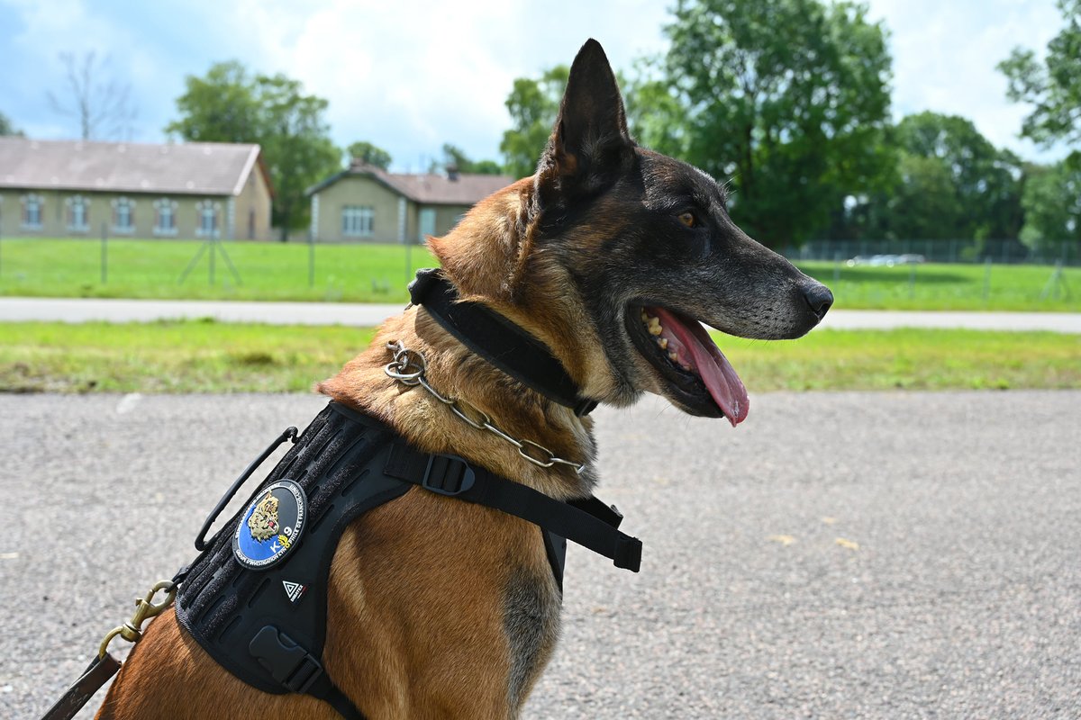 Per ogni necessità un prodotto Dimatex EMS ti può aiutare