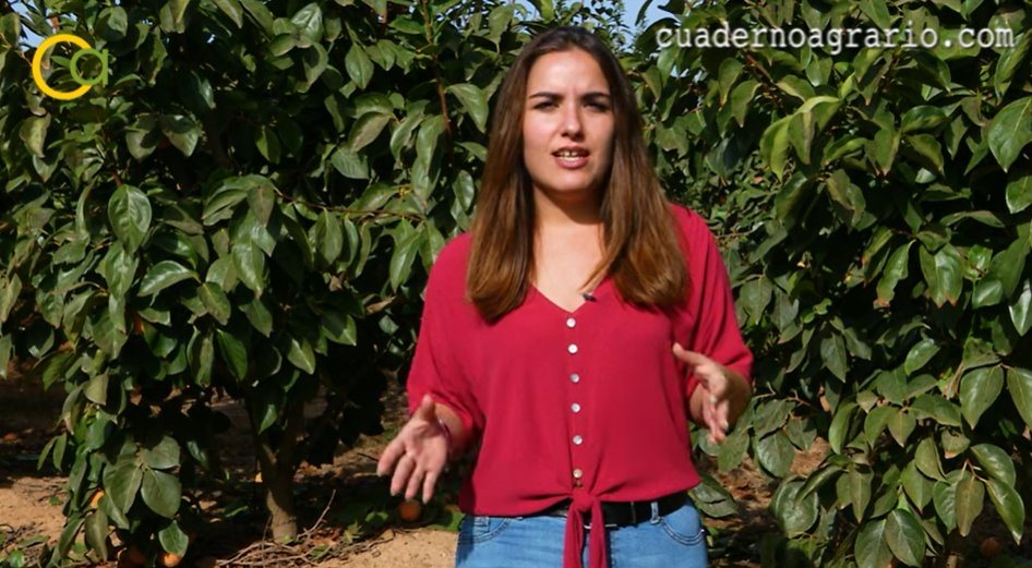 CuadernoAgrario's tweet photo. 📺🗓️⏰ No te pierdas mañana sábado a las 14 horas #CuadenoAgrario282 en @7TVAndalucia y @Huelvatv

😊¡ Toda la actualidad del sector agroalimentario con 
@CrisSaancheez ! 🫒🌶️ https://t.co/ibTpkVRaNP