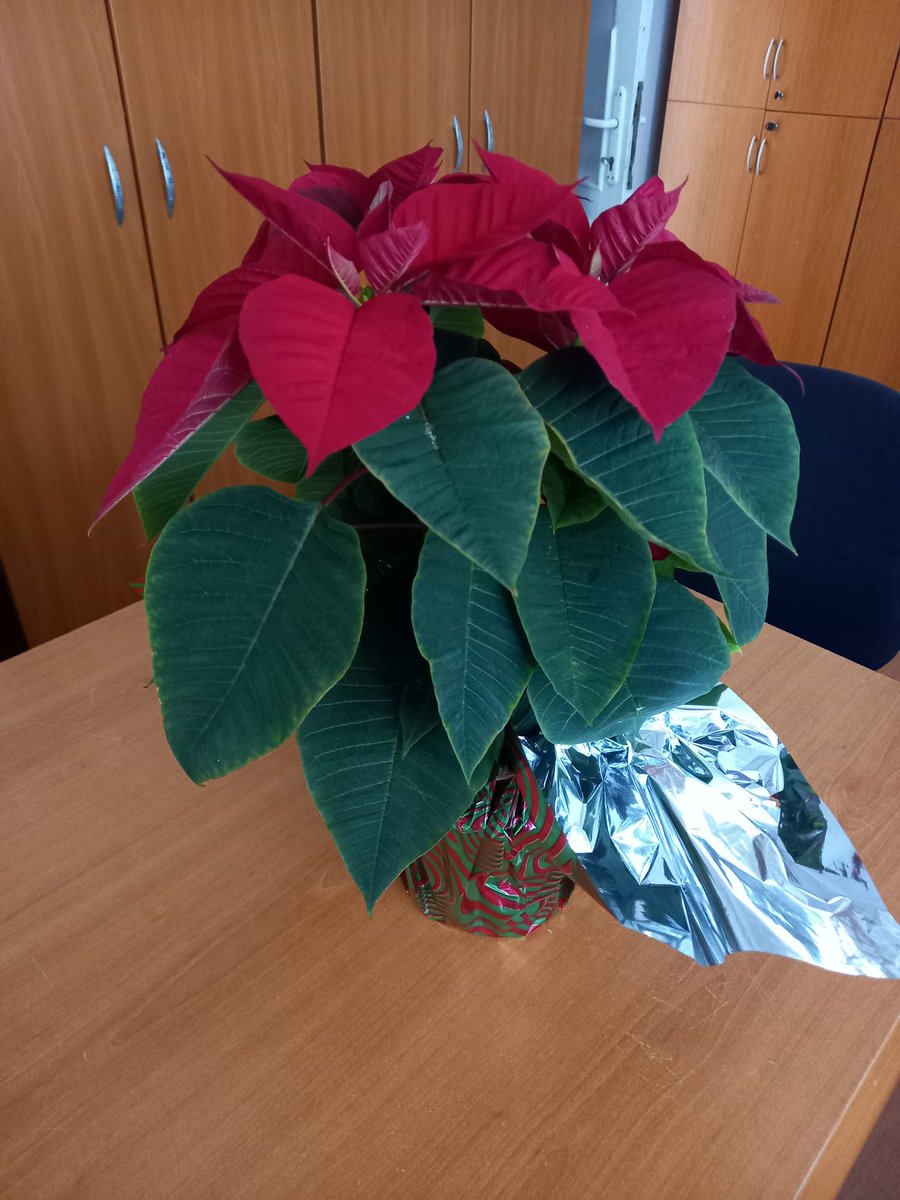 meteorolojilab's tweet image. Tüm ekibimizin kıymetlisi, Meteoroloji biliminin ülkemizde gelişmesine büyük katkıları olmuş, çok sayıda öğrenci, bilim insanı yetiştirmiş Prof.Dr. Süreyya Öney hocamız eşiyle ziyaretimize gelmiştir. Bu ziyaret bizleri onure etmiştir.