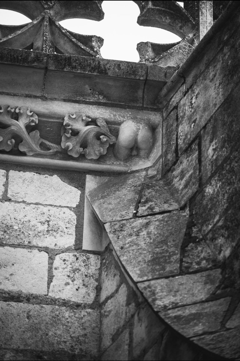 La Cathédrale de Bourges réserve  quelques surprises à ses visiteurs… Vous les reconnaissez ? 
#bourges #Cathédrale 
<a href="/Malineonline/">linotte</a> 😉