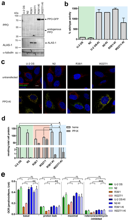 BarinkaLab tweet media