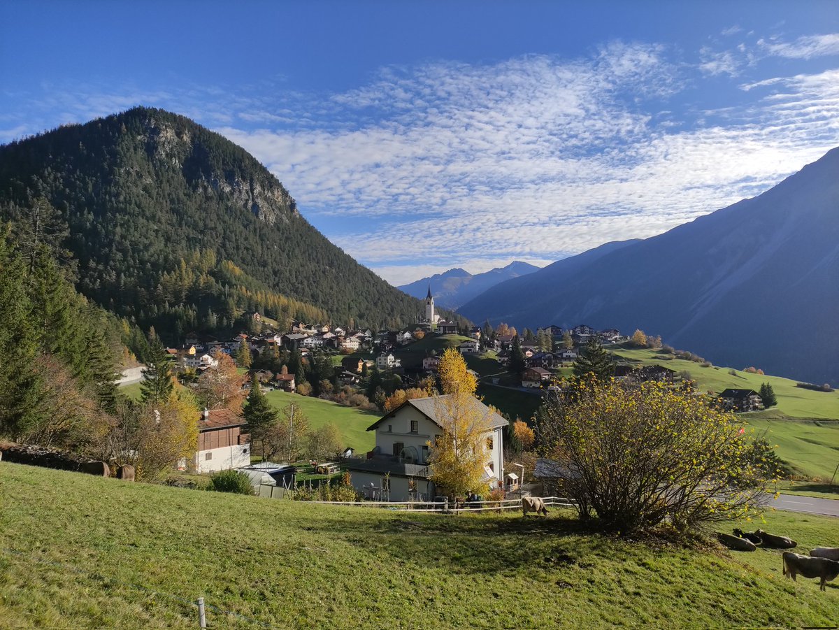 Good morning! ☀️