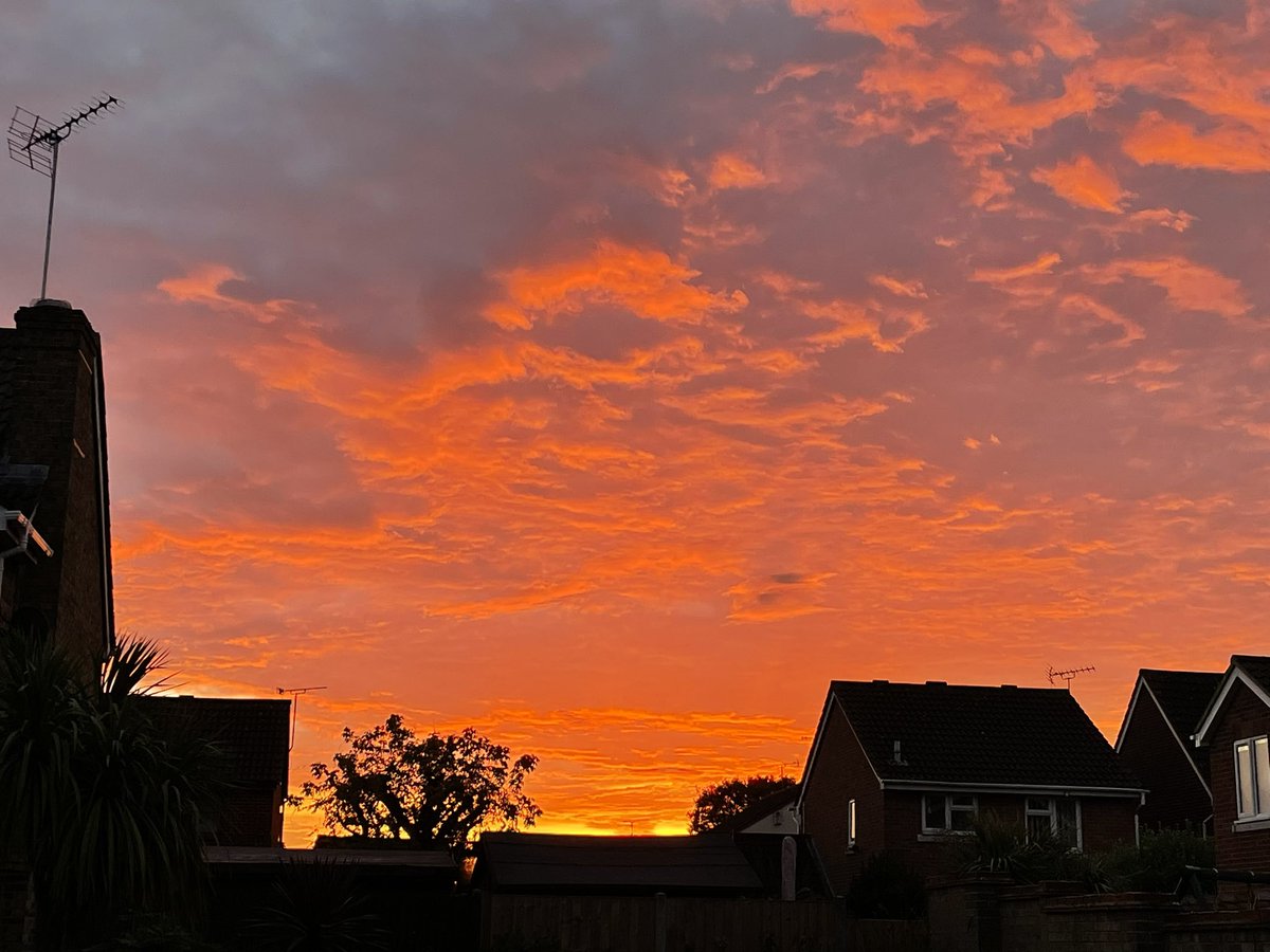 Mark Laybourn tweet media