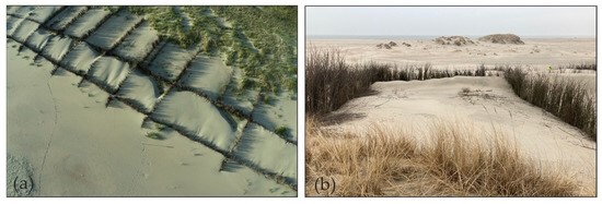 JMSE_MDPI's tweet photo. #RecommendedPaper
#HighlyCitedPaper
Influence of #Sand_Trapping_Fences on Dune Toe Growth and Its Relation with Potential Aeolian Sediment Transport https://t.co/i9roineYpr #mdpijmse via @JMSE_MDPI @RWTH
#Field_Experiments; #Unmanned_Aerial_Vehicle https://t.co/OeTjmnCZiA