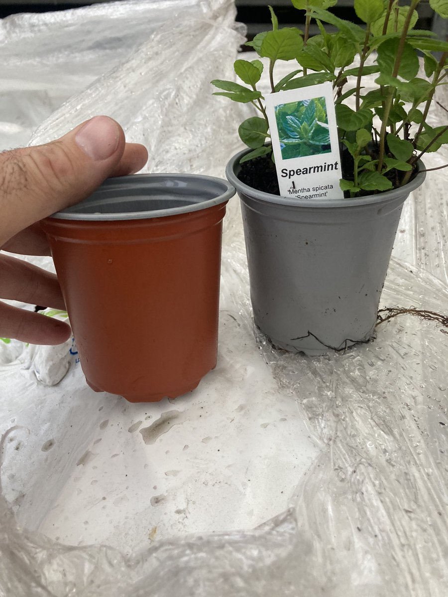 Do people prefer all Red or Grey looking plant Pots? Both can be recycled #horticulture #asktwitter #nurserylife