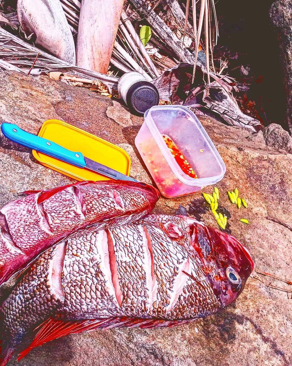 yooits_gus's tweet photo. Savusavu 📍 @official_stui tau hare u ga v au o Zavuzavu. https://t.co/fIjc73mEWc