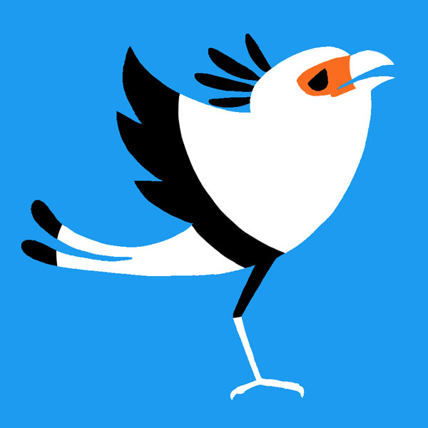 no humans animal focus bird blue background simple background solo from side  illustration images