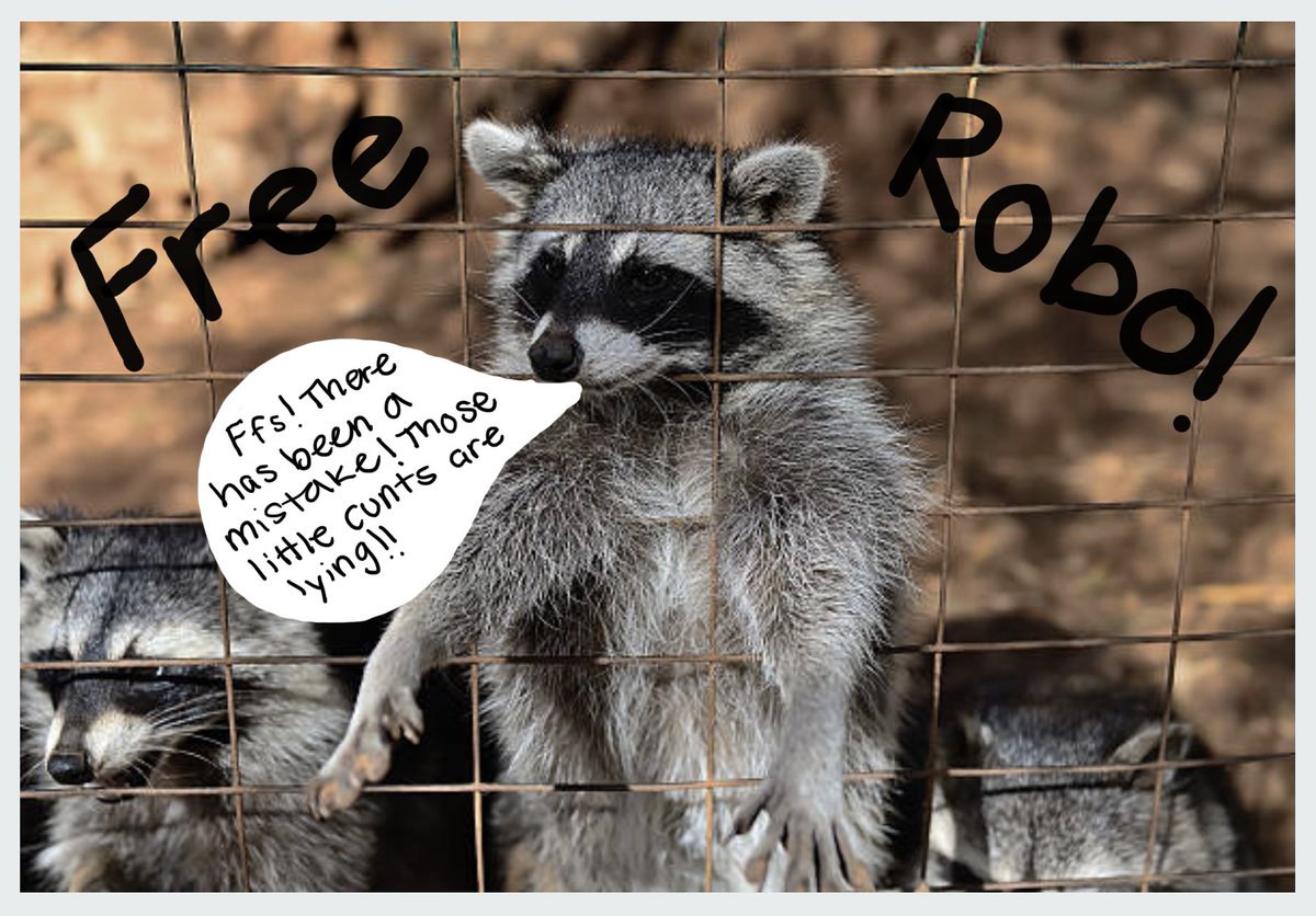 cryptotosis's tweet photo. So does #Robo still need bail money @Rarma_? Cheeky @badkidsart! Didn't we decide against involving the thought police?! 😉🤷♂️😂 #theresbeenamistakeofficers #itwasthoseBadKids #soooobad 🤣 #managerplease #FreeRobo @RacoonSupply $RAC https://t.co/uj1apWkRnF