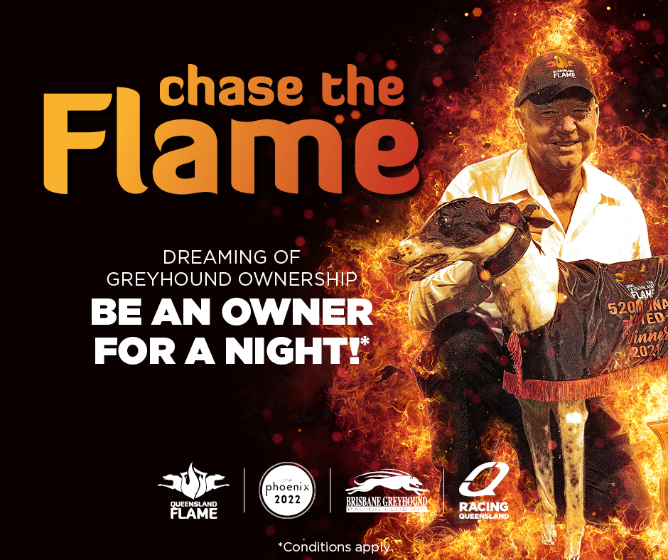 RaceQLD's tweet photo. Want to own a greyhound for the night?

Tell us in 25 words or less why YOU want to own a greyhound for your chance to partner with a chaser for a night in the 2022 QLD Flame at @BrisGreys and $1.65m The Phoenix at @MelbourneGreys and win up to $25K!

🔗  https://t.co/StvQJGg5Lk https://t.co/fzNGOPaULi