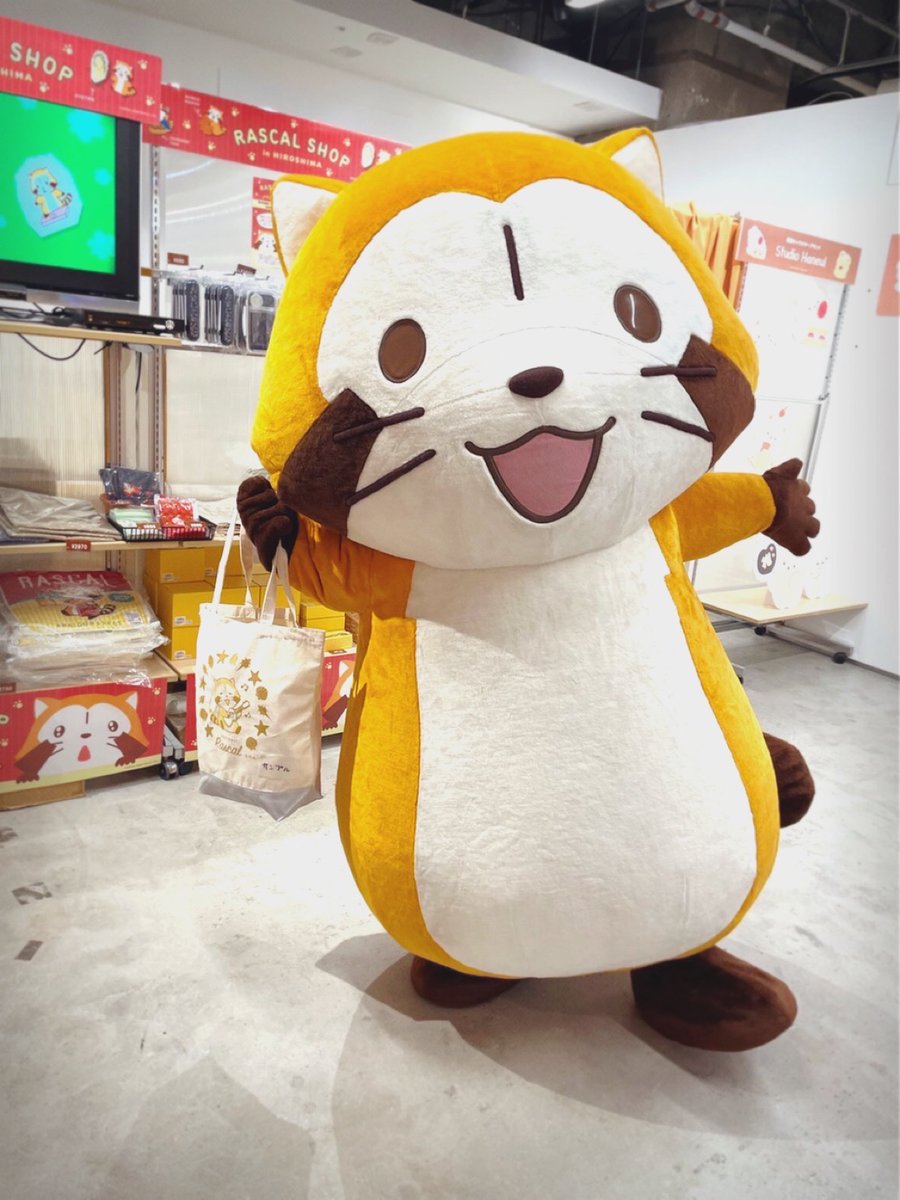 Rascal_Shippo's tweet image. \最終日まであと3日/

ラスカルショップ in広島は10/31(月)まで😭
しかも最終日は18時までの営業です😓💦

お近くの方も、そうでない方も、
何度でも足を運んでくださいね！

＊遠方のお客様は、ラスカルグッズを持ち帰るために、お荷物には余裕を持ってお越しください。