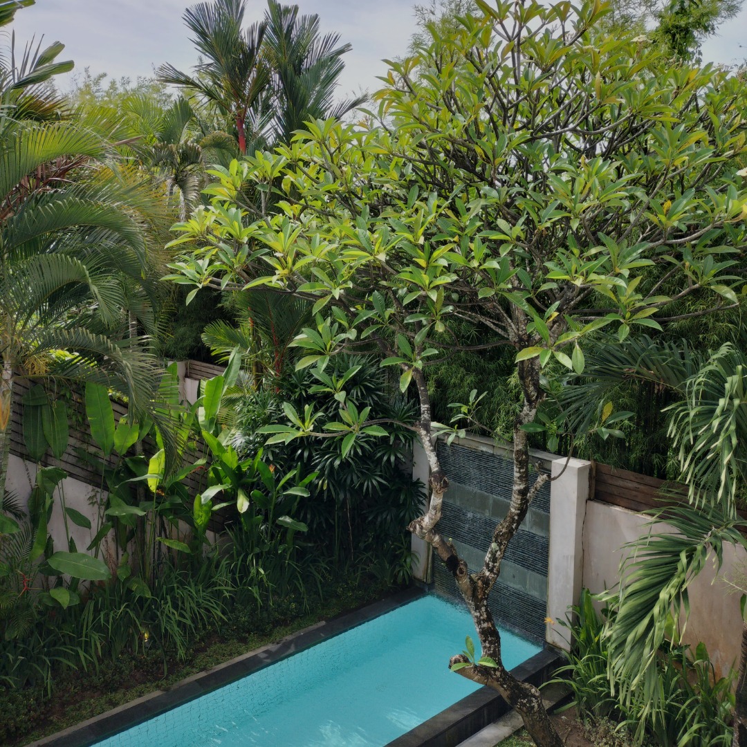 GoHotelsGo's tweet photo. Bali Island Villas &amp; Spa is in the heart of Seminyak. 

Book the "Splash Offer" now! 
Stay longer for 3+ night will get one way airport transfer, for stay 5+ night stay will have 1 hour massage for 2 people. 

Bali Hotel Specials: Bali Island Villas &amp; Spa
https://t.co/PzW9nIgewU https://t.co/tOhxA8DKai