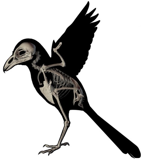 James Albert 🐟 🇺🇦 tweet media