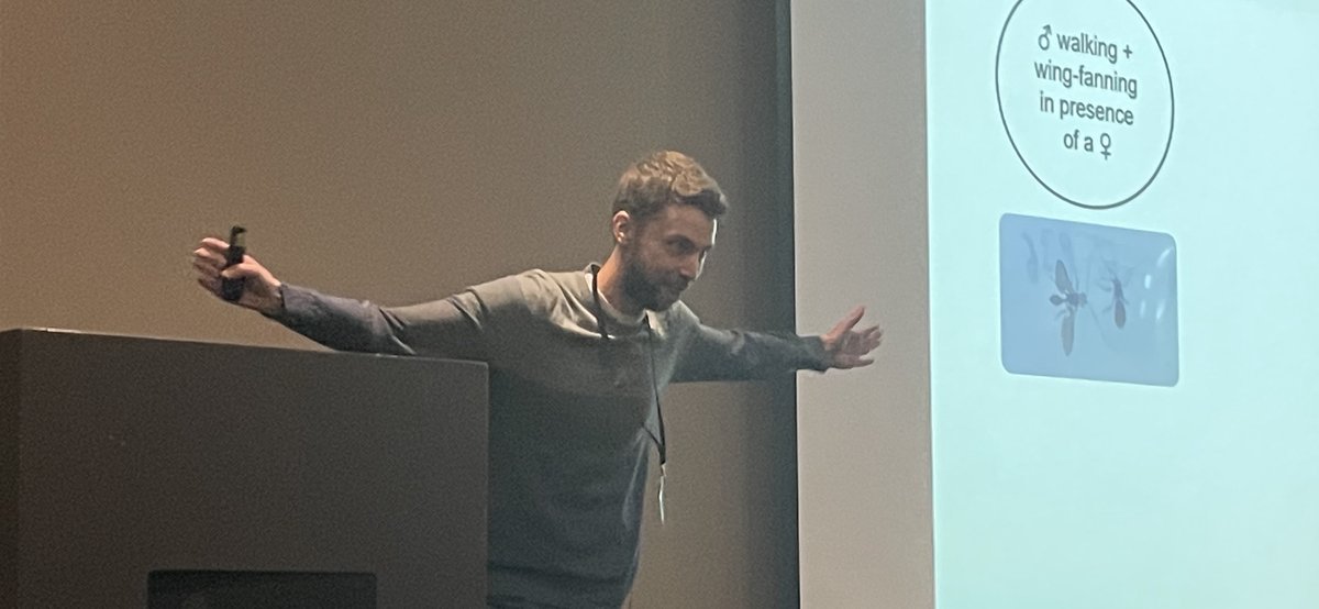 Mike Davy, senior technician in #entomology, on stage demonstrating wing fanning behaviour of ‘Eadya daenerys’, a biological control agent for the Eucalyptus tortoise beetle 'Paropsis charybdis.' Our Entomology team is at <a href="/NZEntoSoc/">Entomological Society of New Zealand</a>'s 70th conference in Rotorua. #NZento22