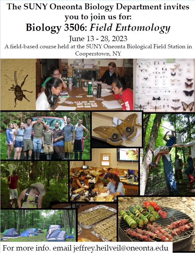 Game on!!! I am allowed to have non-Oneonta students join us for the 1st time since 2019!
I am offering a 4 credit, 16-day Field Entomology (AKA Bug Camp) course from June 13-28, '23. This collection &amp; research project-based class is avail @ grad or undergrad lvls. Come play!