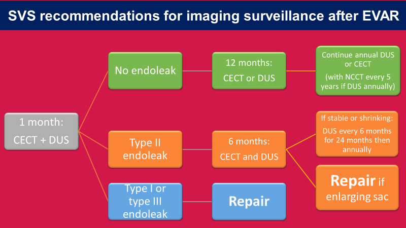 samrad77's tweet photo. Multiphasic CT is the investigation of choice for imaging surveillance after EVAR. The authors summarize the 2018 Society of Vascular Surgery (SVS) guidelines for CECT and Doppler ultrasound. 
#RGPhx
6/15 https://t.co/z24jZA2jVd