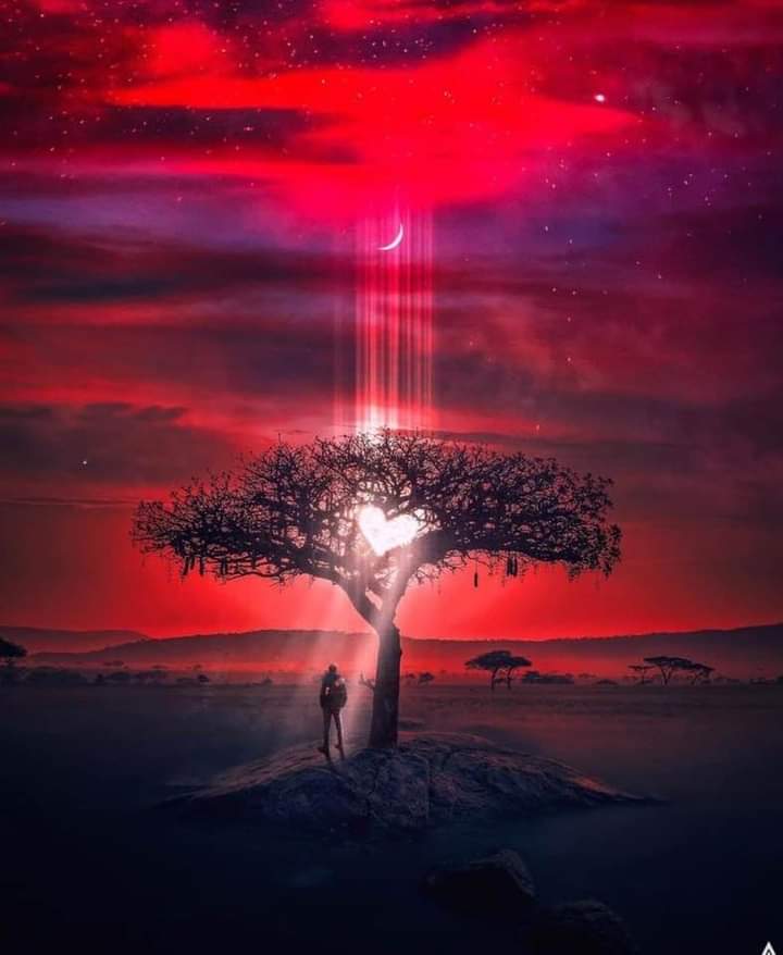 आदुरो $ जिन्दगी 🌹🌹🌹 (@premgur34602625) on Twitter photo 