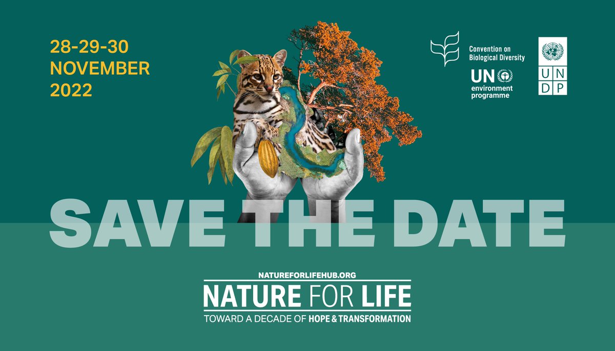 To build a sustainable future, we need to restore our relationship with nature🌱 Join @undp and partners for the virtual #NatureForLife Hub 2022 to learn how we can create a #NaturePositive future and take action 📅 28-30 November 📍 Learn more and RSVP: go.undp.org/Uwwt