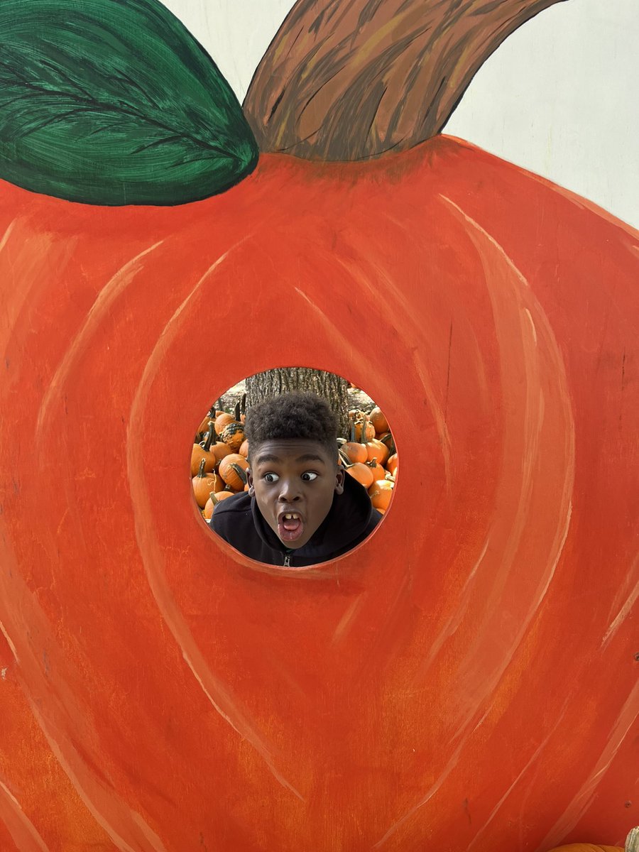 MORRA GILL tweet media