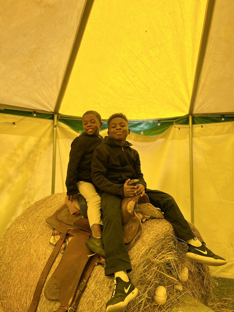 MORRA GILL tweet media