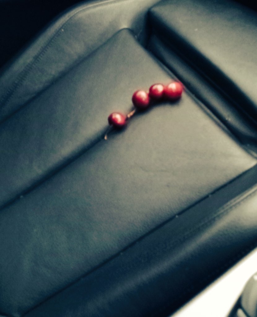 Guys... Living the dream 🤩 #cherries 🍒 everywhere 😉