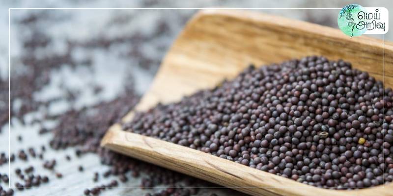 meiarivu's tweet image. இந்தியாவில் மரபணு மாற்றம் செய்யப்பட்ட கடுகை வணிக ரீதியாக உற்பத்தி செய்வதற்கான களப்பரிசோதனைக்கு  ஒன்றிய அரசு அனுமதி 

#Meuarivu | #GeneticallyModifiedCrops | #GMOMustard