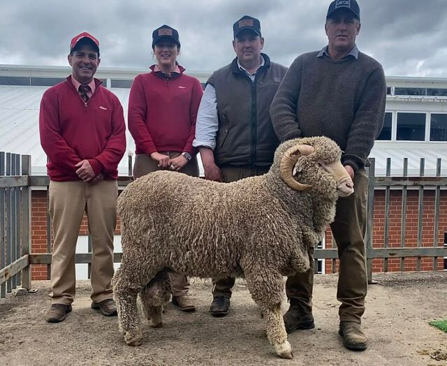 ZagroAustralia's tweet photo. Zagro Australia’s Southern NSW Territory Manager, William Lloyd was attending one of the many stud ram sales around southern NSW. Main Range Merinos Stud and Boudjah Rams held their annual ram sale at the Cooma Showgrounds with Zagro Australia’s Striker being promoted around. https://t.co/LyPglm2TIb