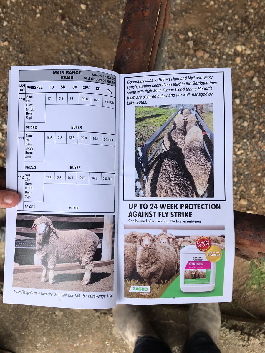 ZagroAustralia's tweet photo. Zagro Australia’s Southern NSW Territory Manager, William Lloyd was attending one of the many stud ram sales around southern NSW. Main Range Merinos Stud and Boudjah Rams held their annual ram sale at the Cooma Showgrounds with Zagro Australia’s Striker being promoted around. https://t.co/LyPglm2TIb