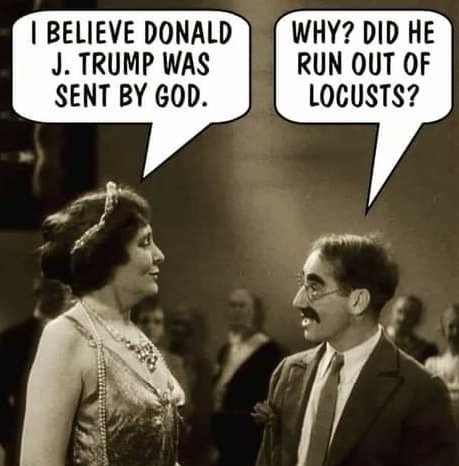 Joey Gritz and Shadow tweet media