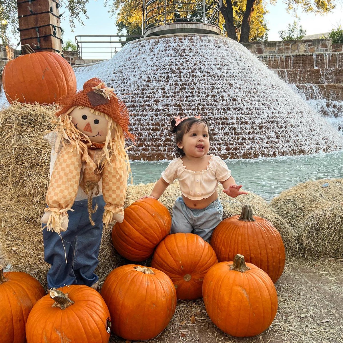 alexplosive3's tweet photo. Cutest pumpkin in the patch 🎃 https://t.co/zg7NA4pTEH