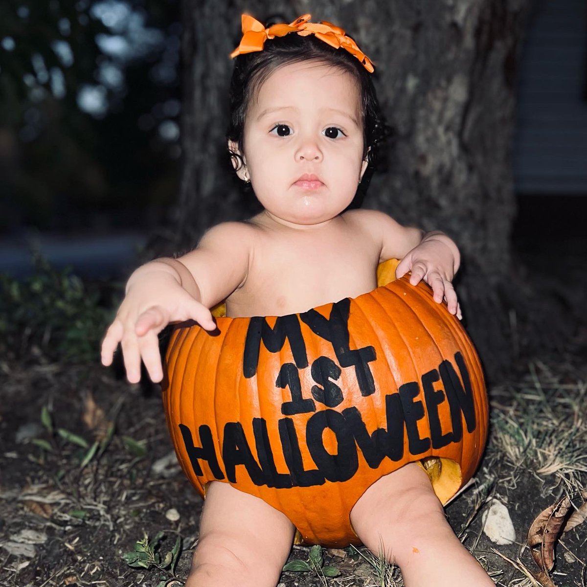 alexplosive3's tweet photo. Cutest pumpkin in the patch 🎃 https://t.co/zg7NA4pTEH