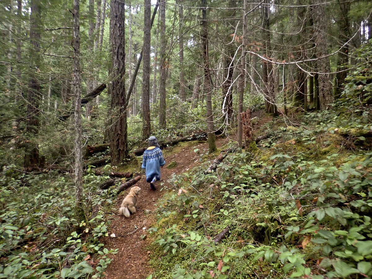 BillWeir5's tweet photo. Did some emergency daycare today and he appeared to show up without a jacket. Did the best I could so we could head out on a #walkthedogs We (dogs and I) took him on his first ever hike in a real forest. Added in an obligatory #rockdogs +Victor photo. Awesome dude that Victor. https://t.co/zZye8Pe2op