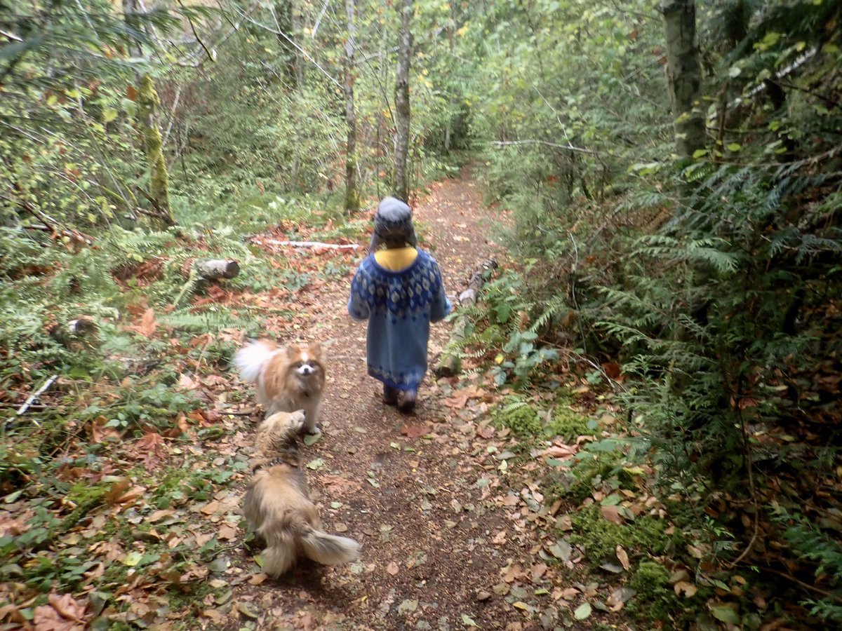 BillWeir5's tweet photo. Did some emergency daycare today and he appeared to show up without a jacket. Did the best I could so we could head out on a #walkthedogs We (dogs and I) took him on his first ever hike in a real forest. Added in an obligatory #rockdogs +Victor photo. Awesome dude that Victor. https://t.co/zZye8Pe2op